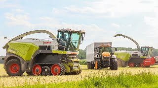 🤩Gros chantier d'Ensilage avec cette CLAAS JAGUAR TT ! JCB - La Campagne 60m3