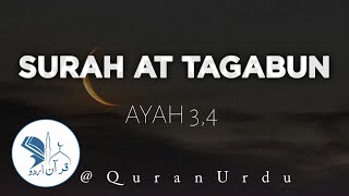 Surah At Tagabun | Ayah 3,4 | Quran beautiful status | Quran recitation | QUran whatsapp status