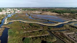 ile d'oleron - drone - video - marais salant