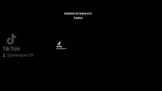 Carpet install in Stair 🏡🏫🙏 Instalacion de carpeta en los escalones 🏡🤓 before and after.    🏡