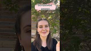 Новое арабское слово #арабский #арабскиеслова #ближнийвосток #дача #фрукты #деревня #дерево #арабка