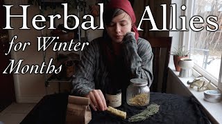 Herbal Allies for Winter Months