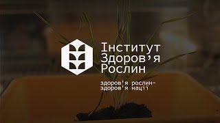 Дослідження життєздатності посівів озимих культур