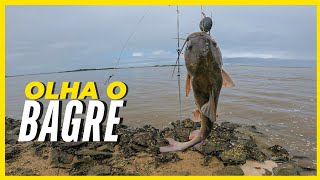 Águas sujas por conta das chuvas. Na pescaria saiu uns peixes Bagre e Siri