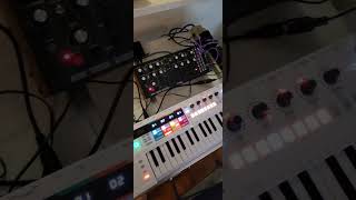 DFAM & Keystep Pro Quickie Midi MAFD #DFAM #keysteppro #mafia