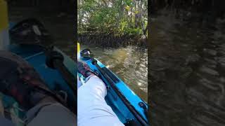 Try NOT to Laugh.. #fishing #snook #funnyvideo #cedarkey #kayak #kayakfishing #funny