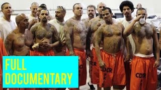 Mexican Cartel Documentary - Most Notorious Mexico Killers And Gangsters