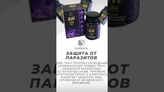 AW line обзорный ролик