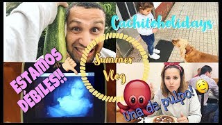 ☀️SUMMER VLOG 3☀️- Estamos MAL+ nos comemos un PULPO (22 semanas de embarazo)| Familia