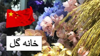 خانه گل / مغازه گل فروشی با گل های خاص و جذاب در چین/ چینگردی با مریم