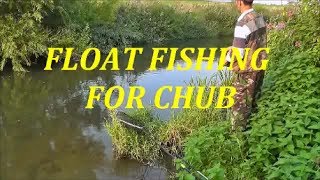 FLOAT FISHING FOR CHUB BARNSLEY  - VIDEO 3