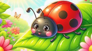 Biedronka | Piosenka o biedronce | Biedronki | Piosenki dla dzieci 🐞