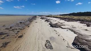 Walk from Tankerton Jetty to Fairhaven Campground and return, French Island, Victoria, Australia