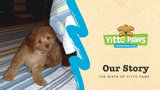 The Story of Yitto Paws