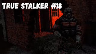 ИМБАЛАНСНЫЕ ПАРНИ! (Прохождение True Stalker #18)