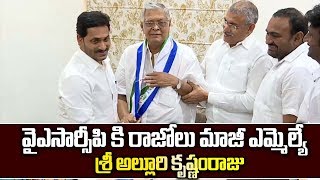 Ex MLA Alluri Krishnam raju joined in YSRCP at Tadepalli Camp Office | Ysrcp Social Media