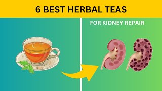 Renew & Revitalize: 6 Herbal Teas for Optimal Kidney Health