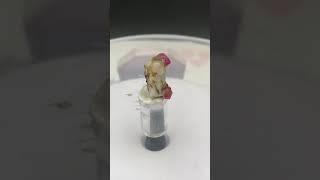 Rare 17.45 ct Red Zircon from Skardu, Pakistan for 16$ #trending #shortvideo #viralvideo