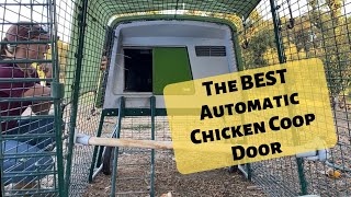 BEST Automatic Chicken Coop Door