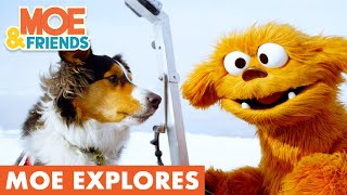 Moe Explores: Search Dogs | The Moe Show | #MoeExplores