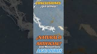 ⚠️☣️MORGELLONS, ¿REALIDAD O FICCIÓN?☣️⚠️