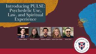 Introducing PULSE: Psychedelic Use, Law, and Spiritual Experience