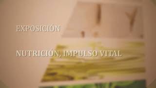 Nutrición  Impulso vital