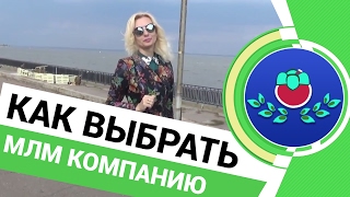 🔰 Как выбрать хорошую сетевую компанию?