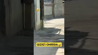 Qizig'i ohirida