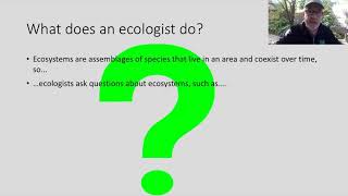 What does an ecologist do?