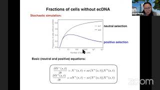 Dr. Weini Huang - Random segregation leads to fast evolution of extra-chromosomal DNA diversity