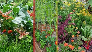 Top 9 perfect companion for your vegetable garden|garden