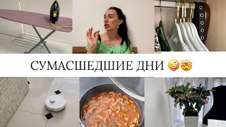 СУМАСШЕДШИЕ ДНИ 🤪🤯