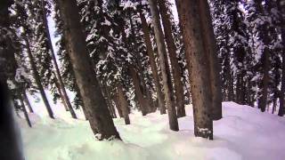 More Telluride Tree Riding and Other Nonsense