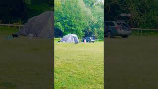 Little girl playing with a dog #campingday #shorts #viralshort