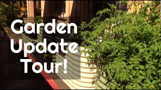 Garden Update!! (Plus new Vego Garden Code in Desc!) | 🌱🌱🌱