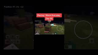 Placing 1 Block In Minecraft Everyday - Day 55