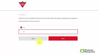 Canadian Tire Customer Satisfaction Survey | 2023