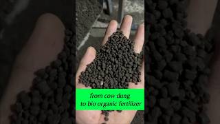 牛粪如何加工成生物质有机肥，from cow dung to profit ,