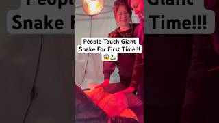 People Touch Giant Snake For First Time!!! 😱🐍#shorts #python