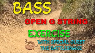 Open G String Bass Exercise