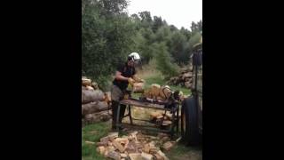 Log splitter Inverness firewood Highland tree surgeon