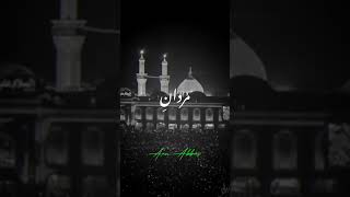 Ali as k Naam | علیؑ کا نام | #aunabbas #qawwali #shots