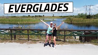 Befriending Alligators in the Everglades