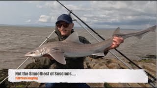 Not the Smoothest of Sessions... | Shore Fishing for Smoothounds