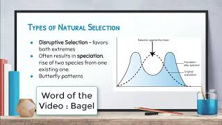 Biology: Video 8-4: Modes of Evolution