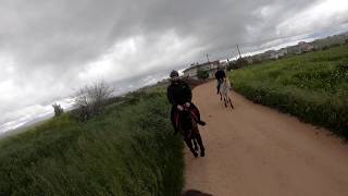 Slow Motion- Horseback riding under a heavy spring rain - GoPro Hero 7 Hypersmooth