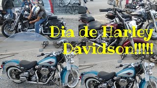 Um Dia de HARLEY DAVIDSON  em Setúbal.....ESPETACULAR!!!