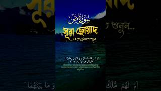 সূরা ছোওয়াদ | Surah Sad | Relaxing Quran Recitation  ✅😍 #shorts #short #surahsad #allah #islam