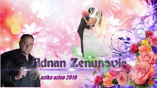 Adnan Zenunovic-Aljo sokole-Muzika uzivo 2019